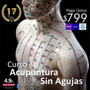 Curso Profesional de Acupuntura sin Agujas