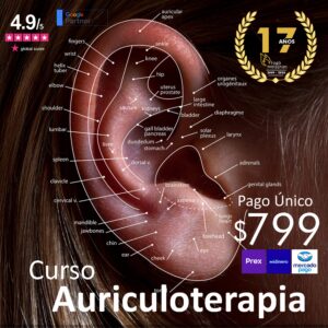 Curso Profesional de Auriculoterapia