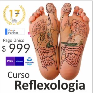 Reflexología Profesional: Terapias Podales y Manuales